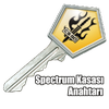 Spectrum Kasası Anahtarı