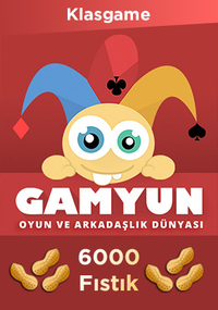Gamyun FISTIK 6.000 Fıstık %20 Extra