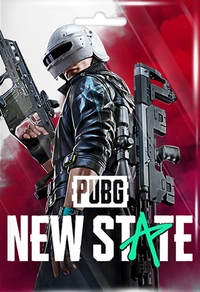 PUBG New State 300 NC