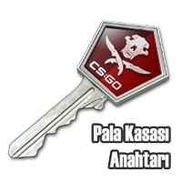 Pala Kasası Anahtarı