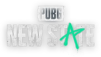 New State - 300NC
