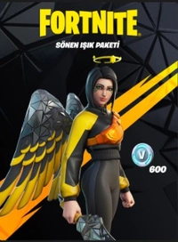 Fortnite -  Boşluk Yolcusu Paketi