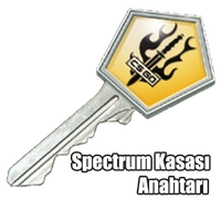 Spectrum Kasası Anahtarı