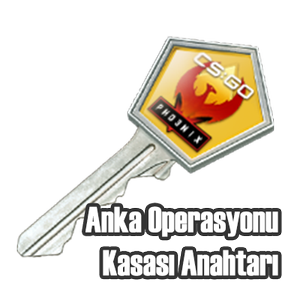 Anka Op. Kasa Anahtarı