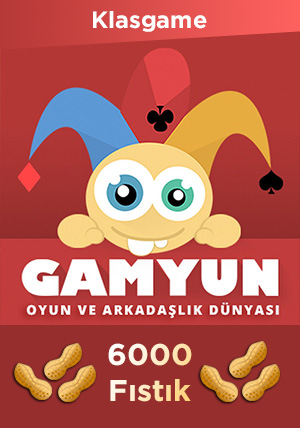 Gamyun FISTIK 6.000 Fıstık %20 Extra