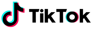 TikTok 200 Takipçi