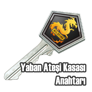 Yaban Ateşi Kasası Anahtarı