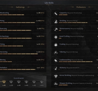 NFT BENDEN HARİKA 85 LVL GM1 ROGUE PROTEAN TOPLAMACI ELİT HESAP