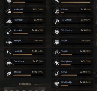 40 LEVEL WEAPONCRAFTER + GM 1 HESAP.