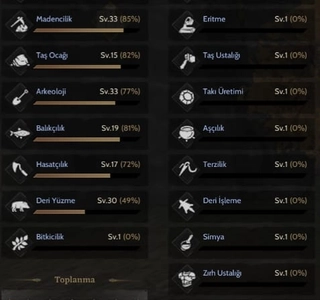 4x30 Toplayıcı 85 Rogue