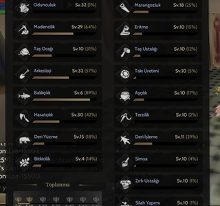 GM 1 / TOPLAYICI/ 300K BP/ +7 RELİC / 15 GÜN FULL PUSLU ROGUE