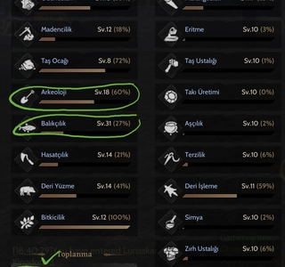 GM1 85 lvl Rogue /İtemli/ Relic / Nyra /Toplama ve Craftlı