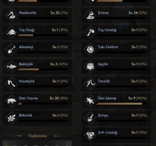 36 LEVEL WEAPONCRAFTER KUPON CHAR