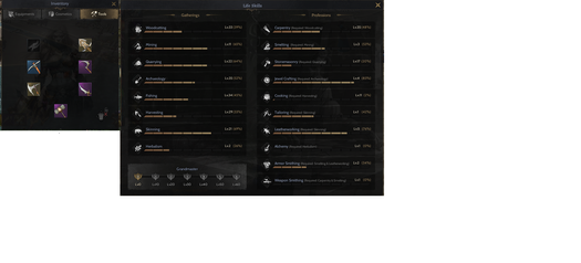 4*30 TOPLAMA VİXEN +8    ROGUE HEAVY +8 SET   TOPLAMA İTEMLERİ FOTORAFTA NE VAR İSE TESLİM