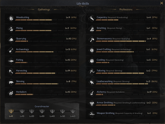 +6 RELİC  FR FULL SKİLL TP/MP MAGE