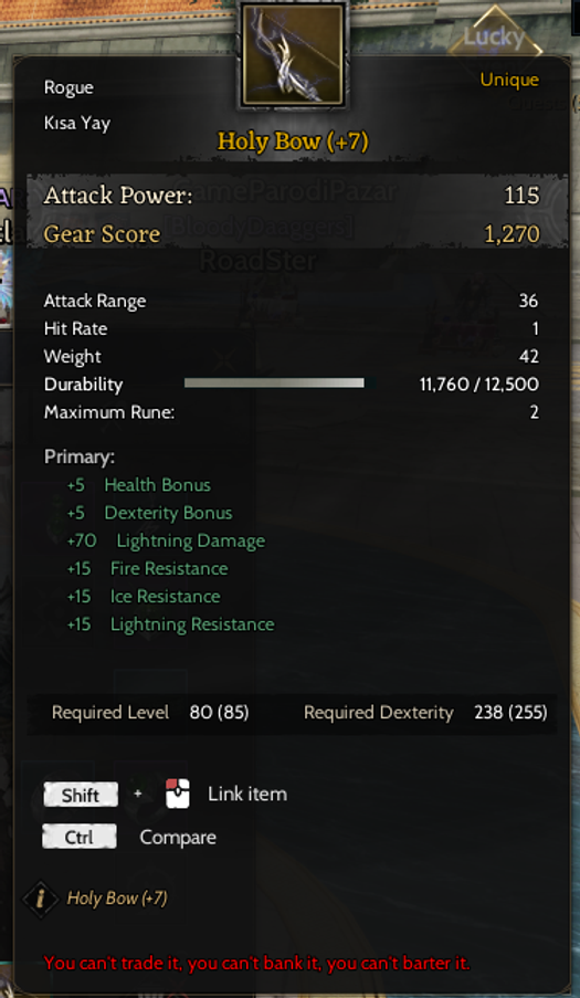85/4 PROTEAN ROGUE +7 HOLY BOW +30 +20 TOPLAMA