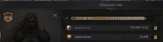 85/5 GM1 FULL SKİLL ROGUE