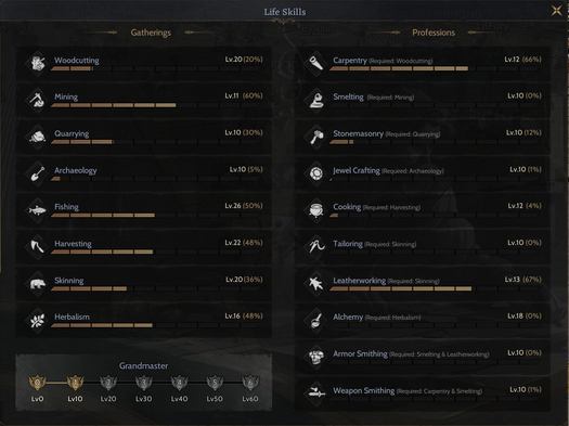 85/5 GM1 FULL SKİLL ROGUE