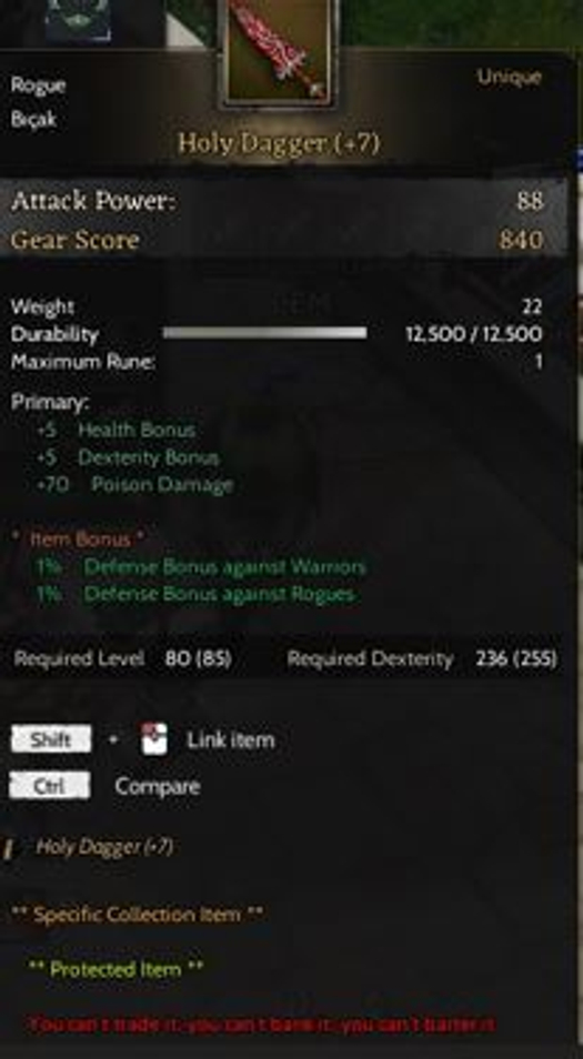 BEDAVADAN AZ PAHALLI 85+5 Toplamalı Holy dagger+7'li ROGUE