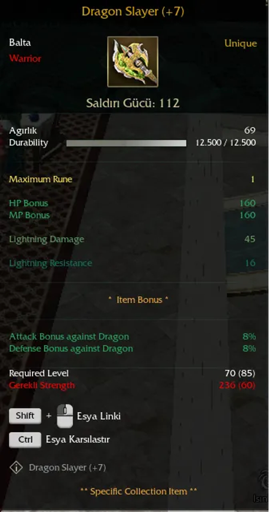 DRAGON SLAYER +7
