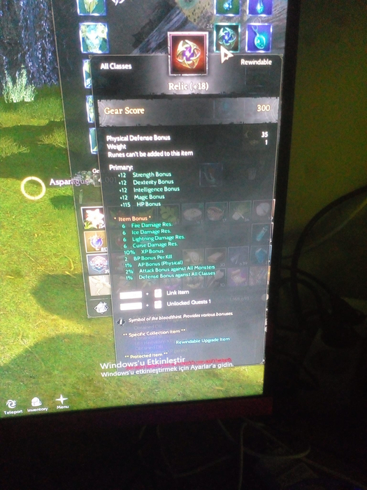 PROTEAN ROGUE REB 2 %87 NPLİ GM 2 COK YAKIN TOPLAMALI