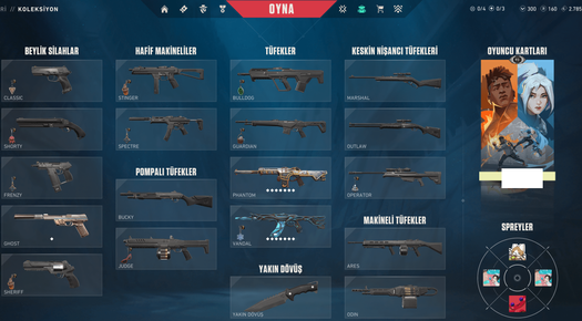 3 SKİNS GAİA VANDAL ONİ PHANTOM 93 LV MAİLLİ MAİNLİK HESAP ACC