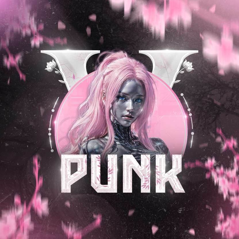 PunkV Roleplay