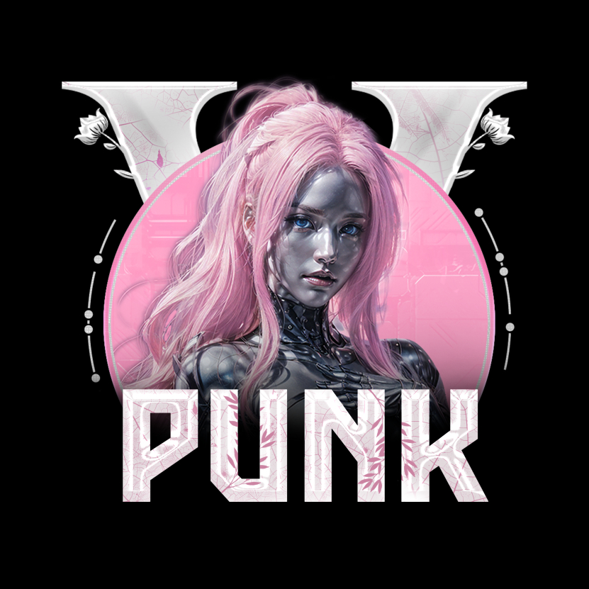 PunkV Roleplay Paketler
