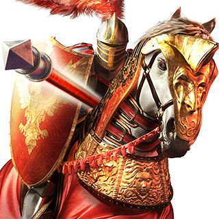 Rival Knights